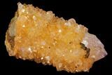 Sunshine Cactus Quartz Crystal - South Africa #115144-1